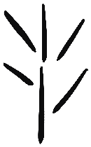 Image of the occurrence